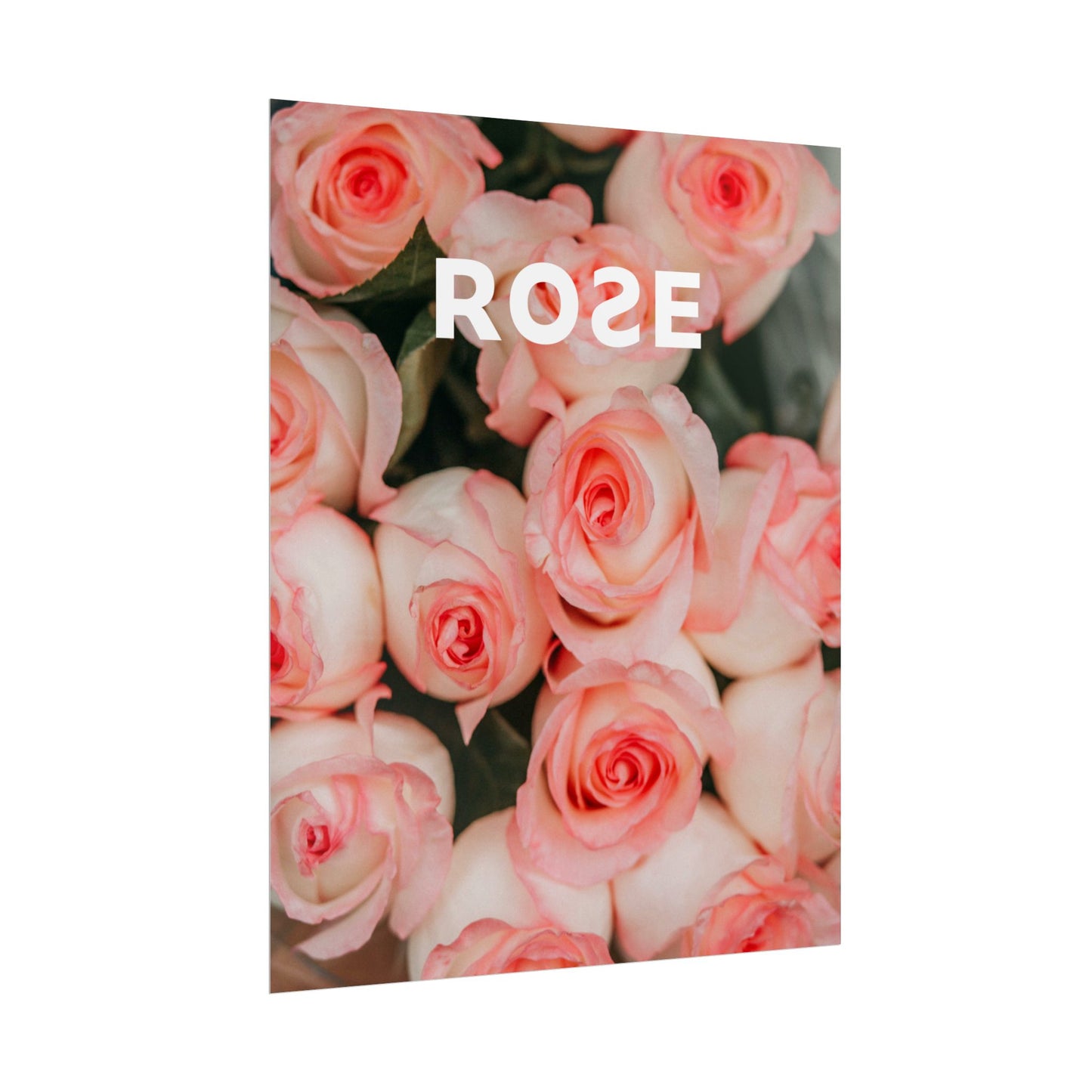 ROSE - Poster