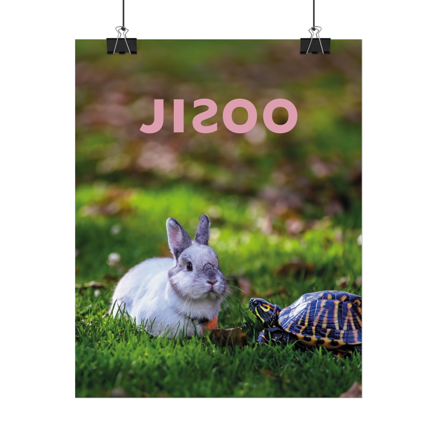 JISOO - Poster