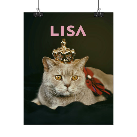 LISA - Poster