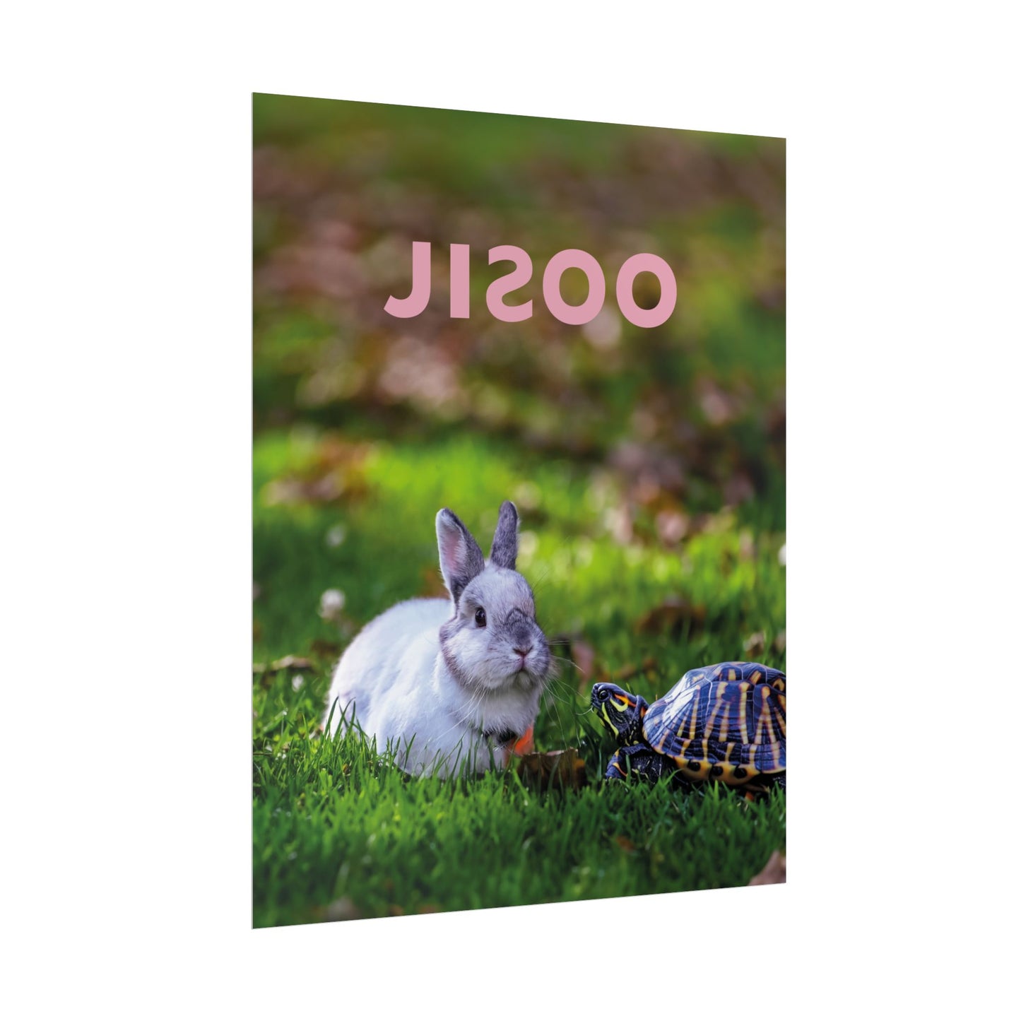 JISOO - Poster
