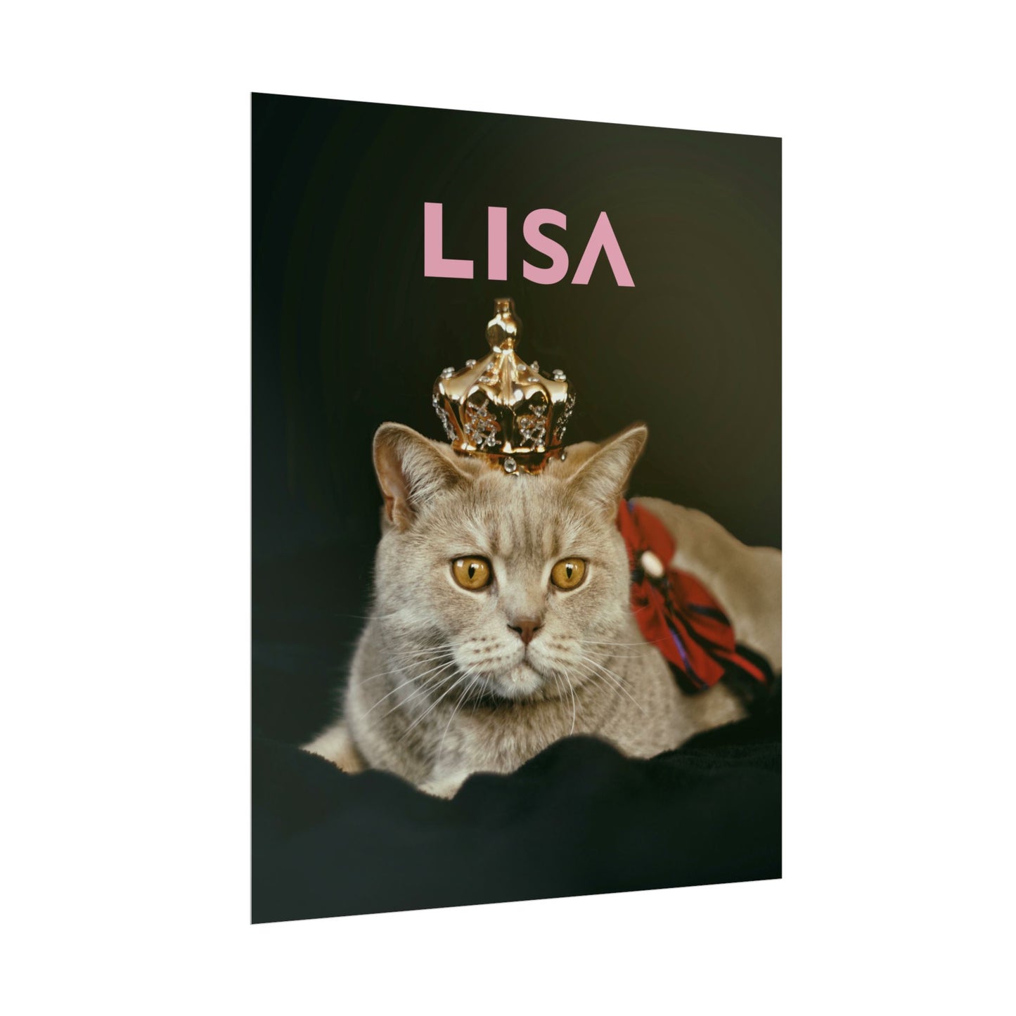 LISA - Poster