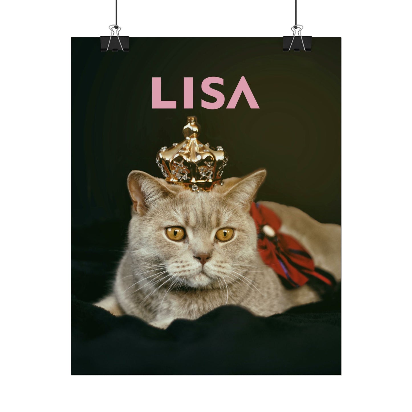 LISA - Poster