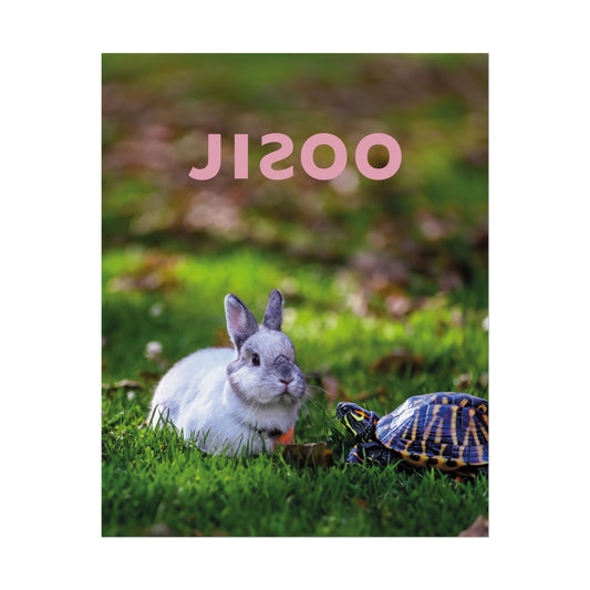 JISOO - Poster